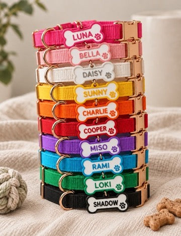 Personalized Pet Tag